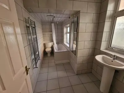Picture 5
